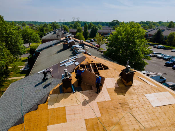 24/7 Emergency Roof Replacement experts in Vernon, MI